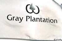 Gray Plantation Flag