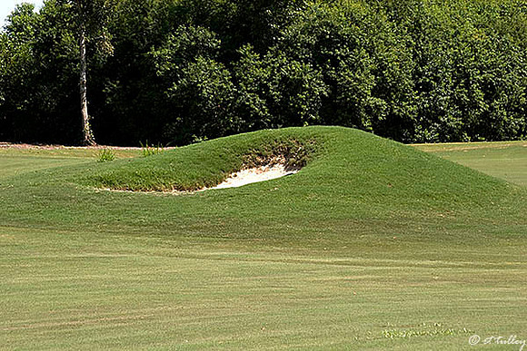 TPC Louisiana #7