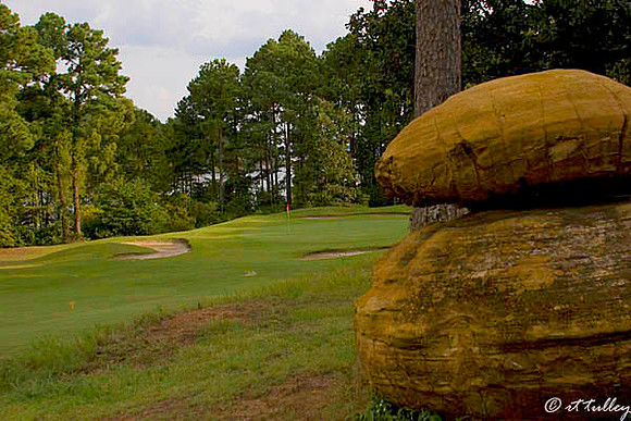 Cypress Bend #7