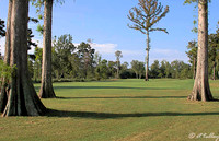 TPC Louisiana #1
