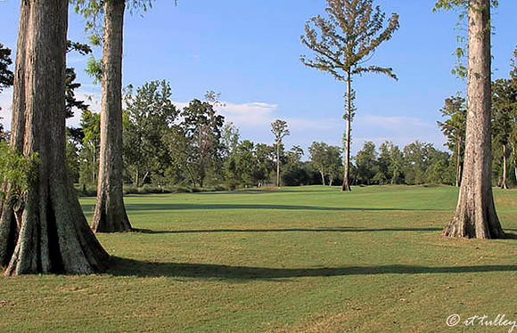 TPC Louisiana #1