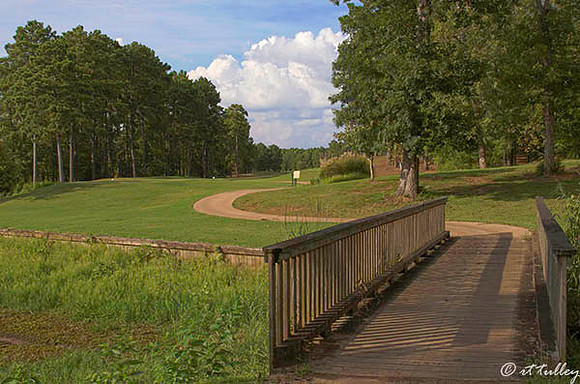 Cypress Bend #6