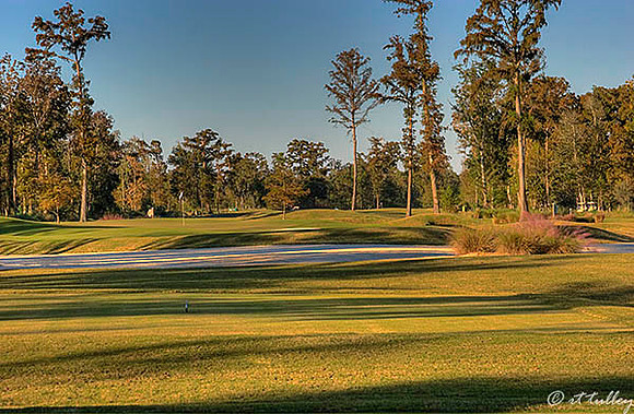 TPC Louisiana #14