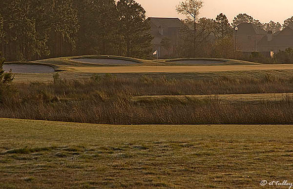 Gray Plantation #7