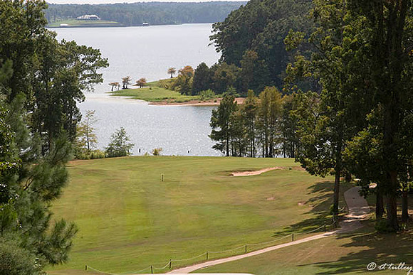 Cypress Bend #16