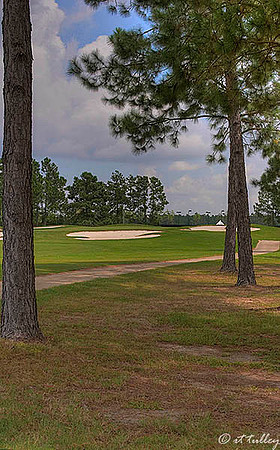 Gray Plantation #9