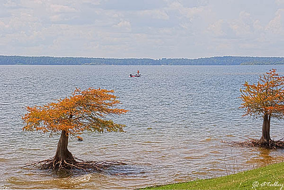 Cypress Bend - Toledo Bend