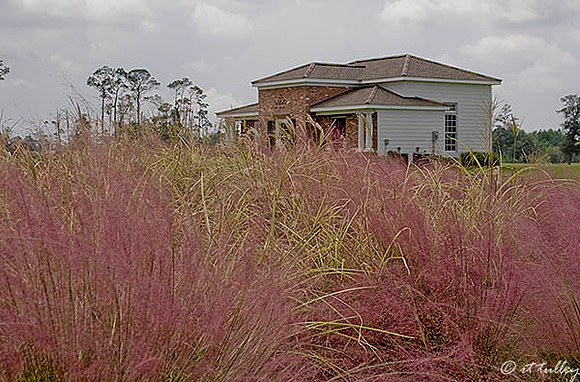 Gray Plantation Neel DeRouen Golf Academy