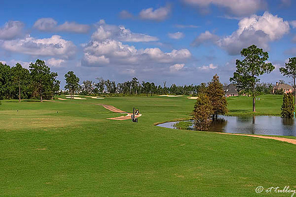 Gray Plantation #5