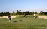 Gray Plantation #2
