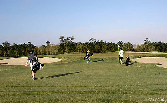 Gray Plantation #2