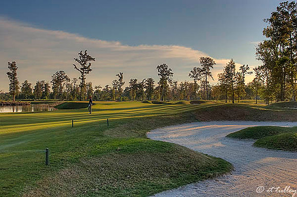 TPC Louisiana #16
