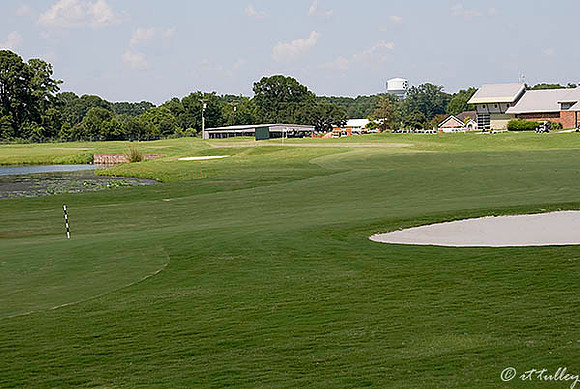 the Wetlands #9