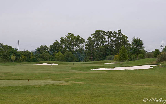 the Island #14