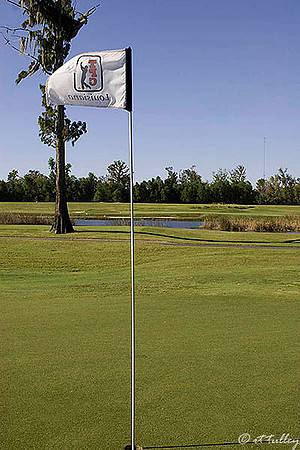 TPC Louisiana Flag