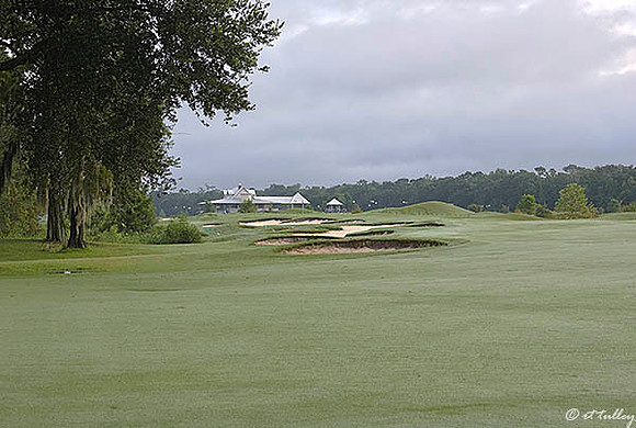 Atchafalaya #6, Par 5
