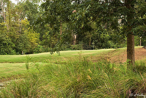 Tamahka Trails #7
