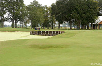 Atchafalaya #4