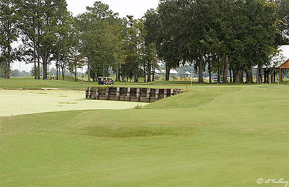Atchafalaya #4