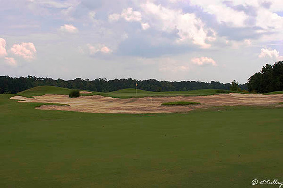Atchafalaya #16