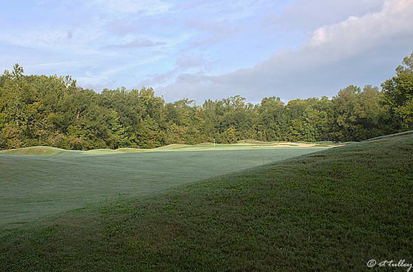 Atchafalaya #3