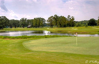 Atchafalaya #8 Green