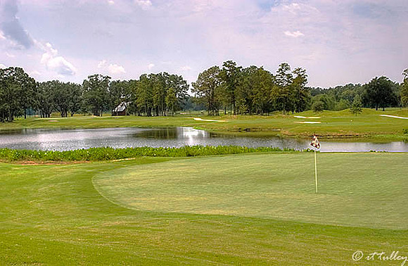 Atchafalaya #8 Green