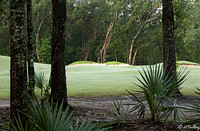 Atchafalaya #2 green