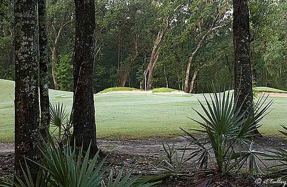 Atchafalaya #2 green