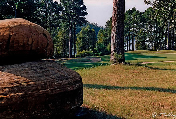 Cypress Bend #7
