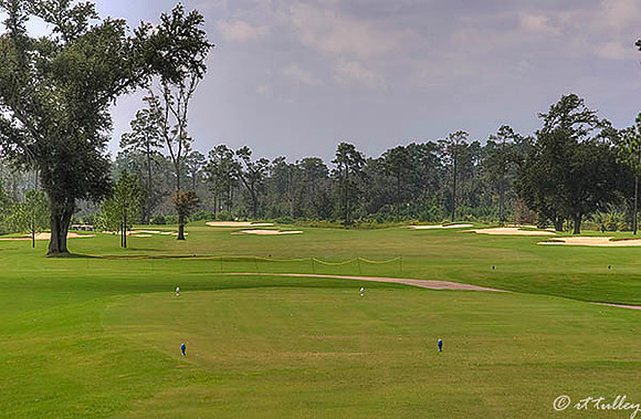 Gray Plantation #10