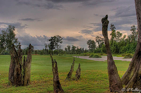 TPC Louisiana #13