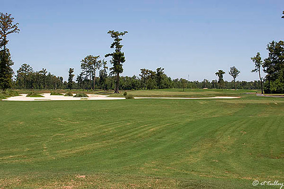 TPC Louisiana #13