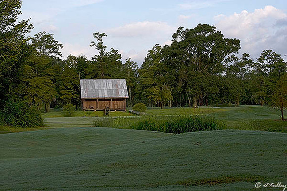 Atchafalaya Cajun Shack