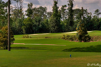 Gray Plantation #4