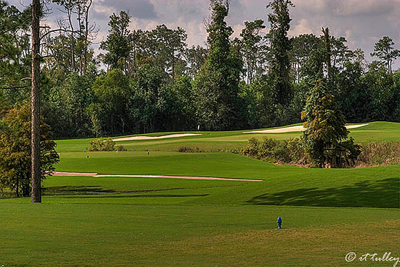 Gray Plantation #4