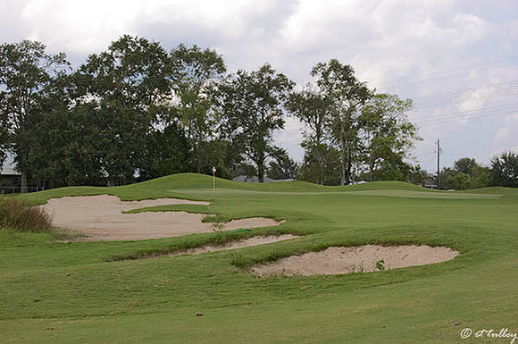 Atchafalaya #14