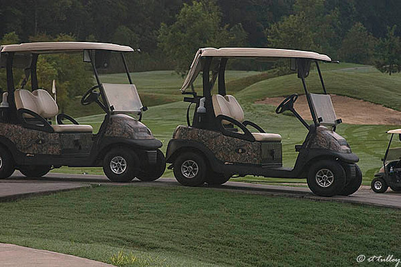 Atchafalaya Camouflage Carts
