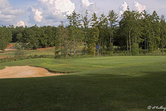 Cypress Bend #2 green