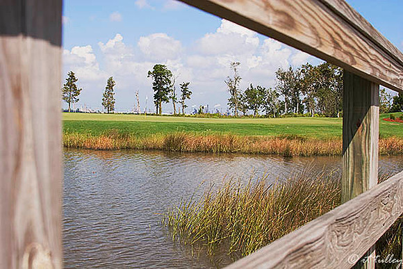 Gray Plantation #6