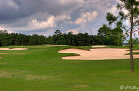 Gray Plantation #2