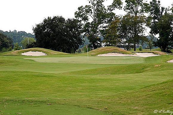 Atchafalaya #15 Green