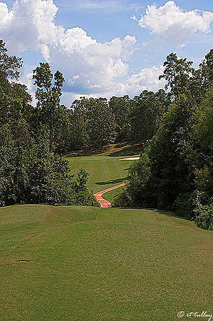 Cypress Bend #13