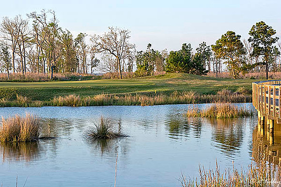 Gray Plantation #6