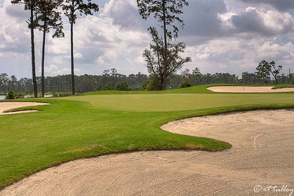 Gray Plantation #10