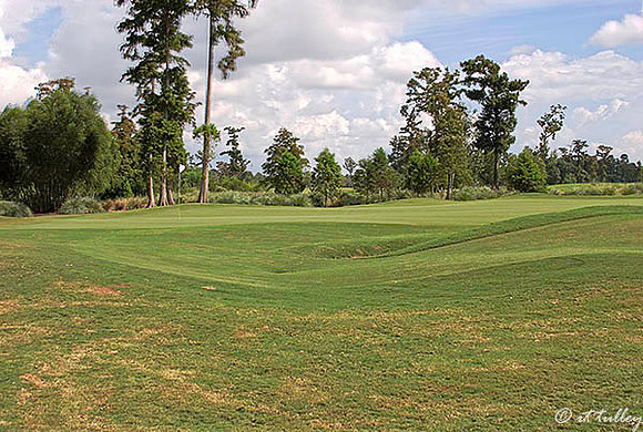 TPC Louisiana #6
