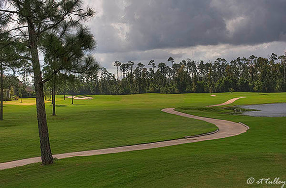 Gray Plantation #3