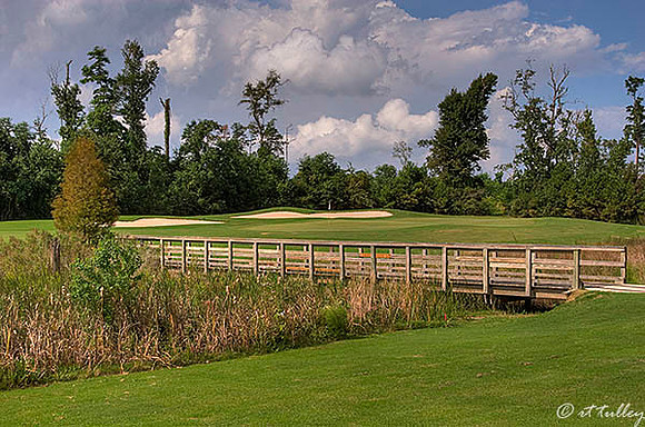 Gray Plantation #4