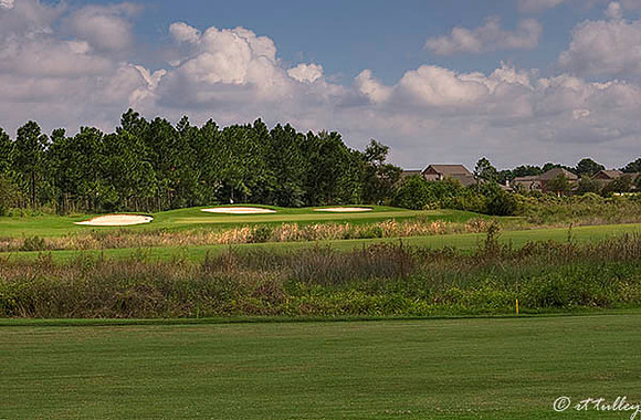 Gray Plantation #7