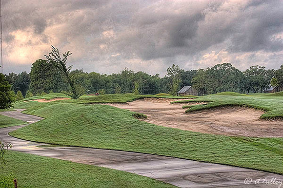 Atchafalaya #1